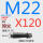 M22*120 40CR淬火