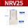 NRV-25[PT1]