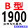 B-1900 Li