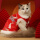 古典中国风猫裙 红