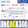 DNC80300