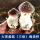 大球盖菇-三级栽培种【小袋装】