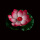 10个红色【18CM】双层花瓣带纹路带荷