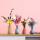 马卡龙小花瓶-4件套+干花