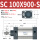 SC100X900S