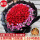 33朵红玫瑰花束——女王款