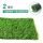 20mm春绿地毯草
