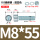 M8*55(30套)