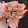 11支粉玫瑰周年纪念礼物