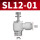 SL12-01