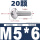 M5*6(20颗)