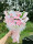 粉色百合花束材料包