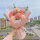 粉色系列康乃馨花朵材料包-编织6