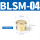 BSLM-04