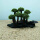 高15-18厘米6个头蘑菇林