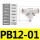 PB12-01【5只】