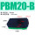 PBM20B