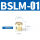 BSLM01