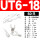 UT6-18(50只)