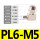 PL6-M5【5只】