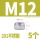 M12（5粒）201