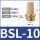 BSL-10