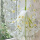 毛巾绣黄色雏菊纱-0.7米宽