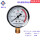 氮气压力表Y60*0.6
