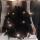 黑色羽毛衣服+头纱+裙撑+项链