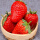 丹东99草莓200粒