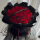 52朵红玫瑰鲜花束黑纱