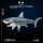 巨齿鲨-857