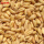 小麦种子1斤