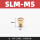 SLM-M5 平头