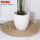 中号陶瓷花盆白色（适合1.7米以下仿真植物）