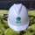 V型/ABS安全帽国网标(白色)