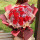 19朵红色康乃馨韩式花束