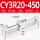 CY3R20450