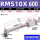 RMS10X600