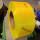黄色透明14宽0.8厚10kg2300