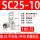 SC25-10【100只装】