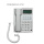 白色电话HCD28(3)P/TSD