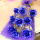 9支蓝玫瑰花束9朵礼盒包装