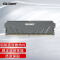 【新品】天策 DDR4 3000