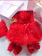 红色长袖裙+发带+帽子王冠围嘴长袜鞋袜（礼盒装）