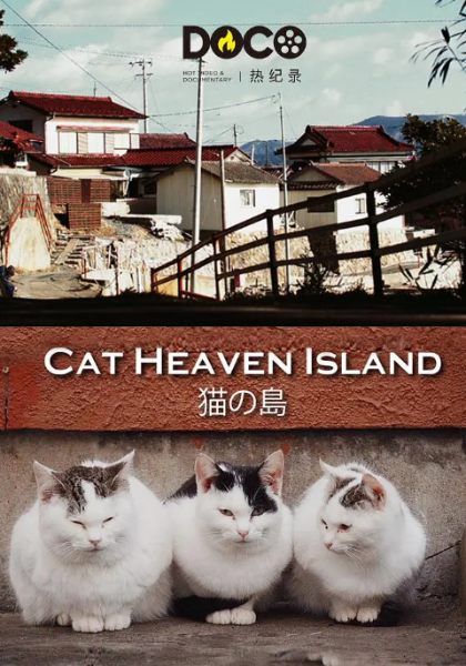 猫之岛