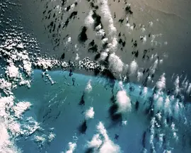 奇妙星球(国语)