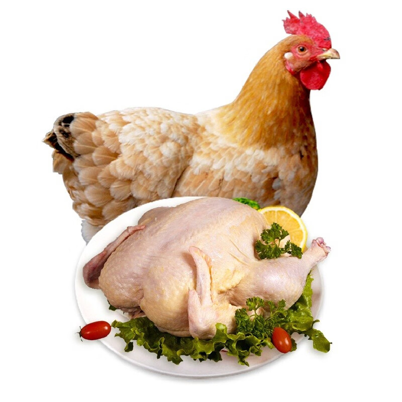 对面小城 农家三黄鸡土鸡童子鸡 生鲜走地鸡笨鸡 新鲜嫩鸡肉 整只装