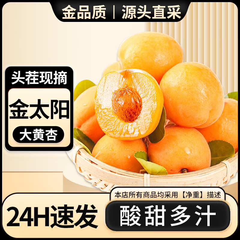 【JD旗舰店】亨迅 头茬陕西新鲜大黄杏子 5斤装（净重4.5斤）
