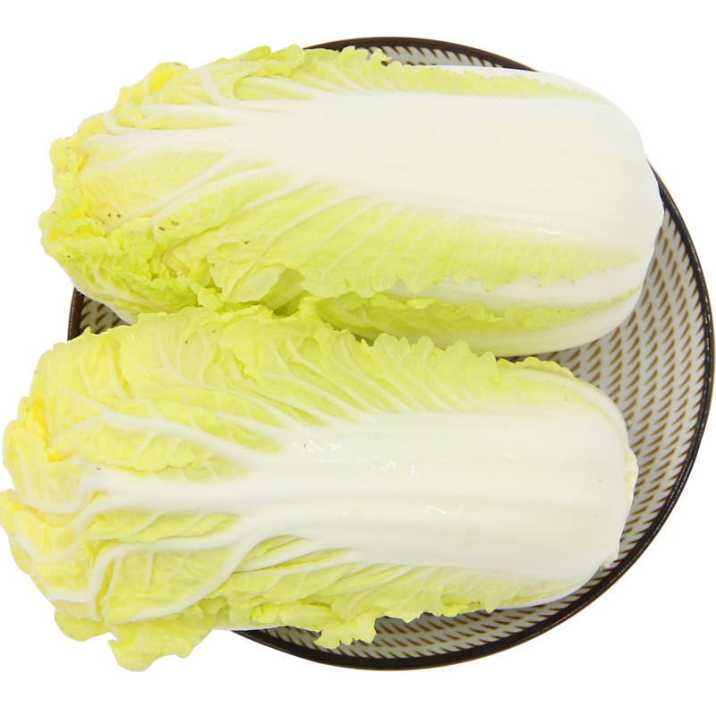 9 】三宝白菜 大白菜 大娃娃菜 1kg 火锅食材 产地直供 新鲜蔬菜